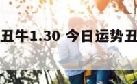 今日运势丑牛1.30 今日运势丑牛水默先生
