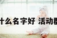 活动的群叫什么名字好 活动群的名字好听