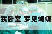 梦见蝴蝶飞到我卧室 梦见蝴蝶飞进屋子放飞