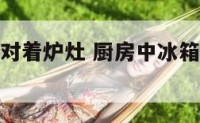 厨房中冰箱对着炉灶 厨房中冰箱对着炉灶好不好