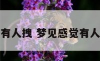 梦见感觉有人拽 梦见感觉有人拽我胳膊