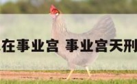 天在事业宫 事业宫天刑庙