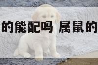 属鼠的和属猴的能配吗 属鼠的人跟属猴的人能相配吗