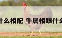 牛属和什么相配 牛属相跟什么属相合