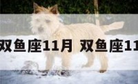 星座运势双鱼座11月 双鱼座11月运势女