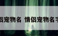 小恩爱情侣宠物名 情侣宠物名字可爱洋气