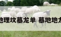 地理坟墓龙单 墓地地龙