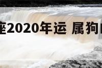 属狗白羊座2020年运 属狗白羊座2021年