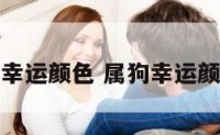 属狗的终生幸运颜色 属狗幸运颜色是什么色