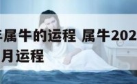 20丨8年属牛的运程 属牛2021年运势及运程8月运程