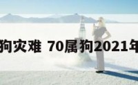 70年属狗灾难 70属狗2021年有一灾