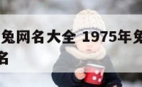 1975属兔网名大全 1975年兔女吉祥好运网名