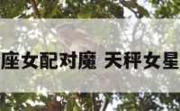 天秤星座女配对魔 天秤女星座速配