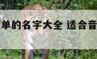 适合音乐歌单的名字大全 适合音乐歌单的名字大全英文