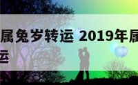 2019年属兔岁转运 2019年属兔的运势和财运