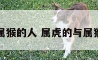 属虎的与属猴的人 属虎的与属猴的人关系