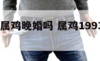 1993年属鸡晚婚吗 属鸡1993年生婚姻咋样