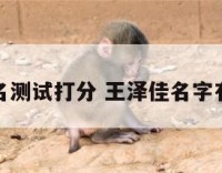 王嘉泽姓名测试打分 王泽佳名字有什么寓意