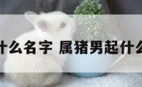 属猪男起什么名字 属猪男起什么名字招财