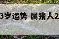 属猪的人23岁运势 属猪人2023年运势如何