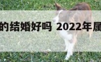 明年属猴的结婚好吗 2022年属猴能结婚吗