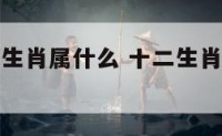 李逵在十二生肖属什么 十二生肖李逵属哪个生肖