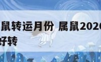 2020属鼠转运月份 属鼠2020财运哪月才会好转