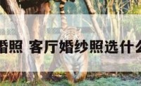 客厅婚照 客厅婚纱照选什么样的