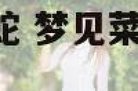 梦见蔬菜地里有蛇 梦见菜地里很多蛇,蛇没有发动攻击