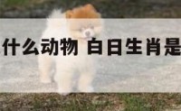 白日生肖是什么动物 白日生肖是什么动物图片