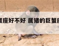 属猪的巨蟹座好不好 属猪的巨蟹座是什么性格