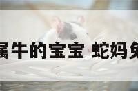 属兔属蛇生属牛的宝宝 蛇妈兔爸生牛宝宝