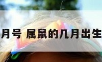 属鼠的几月号 属鼠的几月出生大富大贵