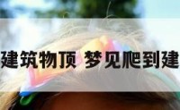 梦见爬到建筑物顶 梦见爬到建筑物高处