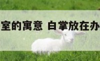 白掌放办公室的寓意 白掌放在办公桌的什么方位