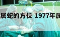 1977年属蛇的方位 1977年属蛇的吉祥方位