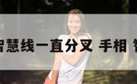 手相智慧线一直分叉 手相 智慧线