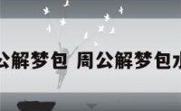 周公解梦包 周公解梦包水饺