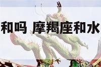 摩羯座水瓶座和吗 摩羯座和水瓶座能合得来吗