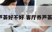 客厅养芦荟好不好 客厅养芦荟可以吗?