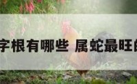属蛇的字根有哪些 属蛇最旺的6个字