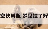 梦见别人捡空饮料瓶 梦见捡了好多饮料瓶子