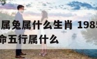 1985年属兔属什么生肖 1985年属兔是什么命五行属什么