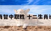 十二生肖智中取胜 十二生肖谁有智慧