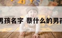 蔡男孩名字 蔡什么的男孩名