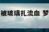 梦到儿子身体被玻璃扎流血 梦见儿子被玻璃扎破流血