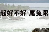 属兔和属兔一起好不好 属兔跟属兔的合得来吗