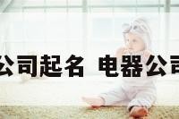 经营电器公司起名 电器公司怎么取名
