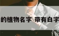 带白字的植物名字 带有白字的植物