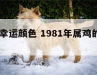 81年鸡幸运颜色 1981年属鸡的永久幸运颜色